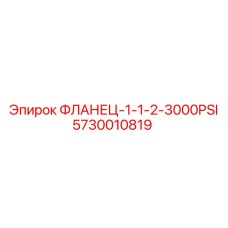 5730010819 ФЛАНЕЦ-1-1-2-3000PSI Epiroc