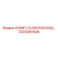 2203091506 КОМП.CAJ9510ZH230/... Epiroc