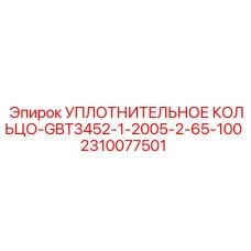2310077501 УПЛОТНИТЕЛЬНОЕ КОЛЬЦО-GBT3452-1-2005-2-65-100 Epiroc