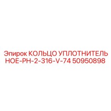 50950898 КОЛЬЦО УПЛОТНИТЕЛЬНОЕ-PH-2-316-V-74 от Epiroc
