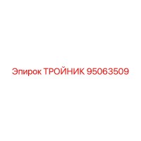 95063509 ТРОЙНИК Epiroc