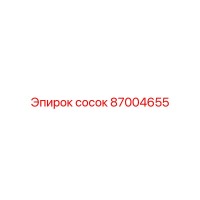 87004655 сосок Epiroc