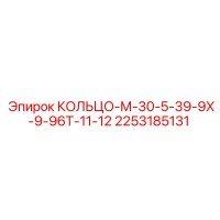 2253185131 КОЛЬЦО-М-30-5-39-9Х-9-96Т-11-12 Epiroc