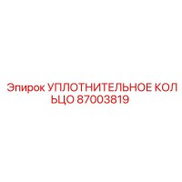 87003819 УПЛОТНИТЕЛЬНОЕ КОЛЬЦО Epiroc