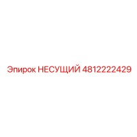 4812222429 НЕСУЩИЙ Epiroc