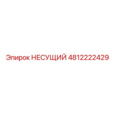 4812222429 НЕСУЩИЙ Epiroc