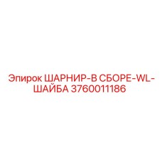 3760011186 ШАРНИР-В СБОРЕ-WL-ШАЙБА Epiroc