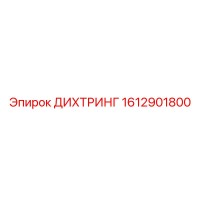 1612901800 ДИХТРИНГ Epiroc