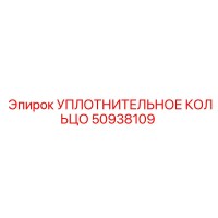50938109 УПЛОТНИТЕЛЬНОЕ КОЛЬЦО от Epiroc
