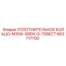 663717700 УПЛОТНИТЕЛЬНОЕ КОЛЬЦО-M359-30IDX-5-70SECT Epiroc