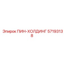 57193138 ПИН-ХОЛДИНГ Epiroc