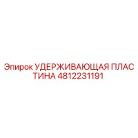 4812231191 Удерживающая пластина (Epiroc)
