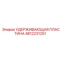 4812231251 Удерживающая пластина (Epiroc)