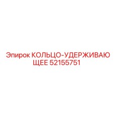52155751 КОЛЬЦО-УДЕРЖИВАЮЩЕЕ Epiroc