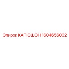 1604656002 КАПЮШОН Epiroc