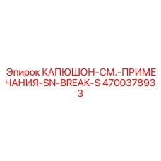 4700378933 КАПЮШОН-СМ.-ПРИМЕЧАНИЯ-SN-BREAK-S Epiroc