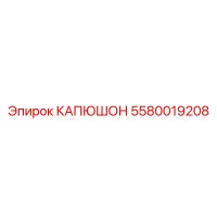 5580019208 КАПЮШОН Эпирок