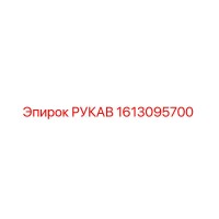 1613095700 РУКАВ Эпирок