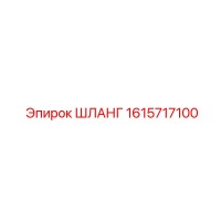 1615717100 ШЛАНГ Epiroc