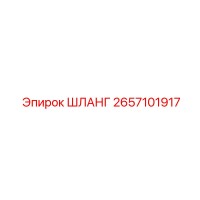 2657101917 ШЛАНГ Эпирок