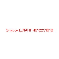 4812231618 ШЛАНГ Epiroc