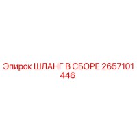 2657101446 ШЛАНГ В СБОРЕ Эпирок