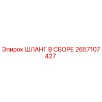 2657107427 ШЛАНГ В СБОРЕ Эпирок
