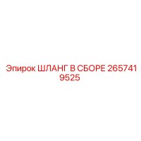 2657419525 ШЛАНГ В СБОРЕ Epiroc
