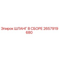 2657919680 ШЛАНГ В СБОРЕ Эпирок