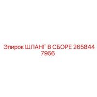 2658447956 ШЛАНГ В СБОРЕ Epiroc