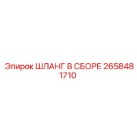 2658481710 ШЛАНГ В СБОРЕ Эпирок