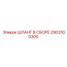 2903100305 ШЛАНГ В СБОРЕ Epiroc