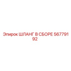 56779192 ШЛАНГ В СБОРЕ Epiroc
