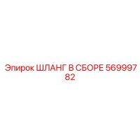 56999782 ШЛАНГ В СБОРЕ Epiroc