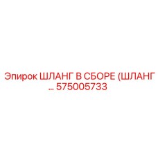 575005733 ШЛАНГ В СБОРЕ (HOSE ASSEMBLY) Epiroc