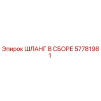 57781981 ШЛАНГ В СБОРЕ Epiroc