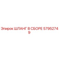 57952749 ШЛАНГ В СБОРЕ Epiroc