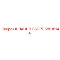 58018144 ШЛАНГ В СБОРЕ Epiroc