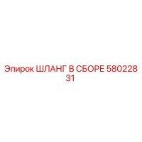 58022831 ШЛАНГ В СБОРЕ Epiroc