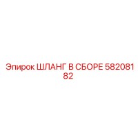 58208182 ШЛАНГ В СБОРЕ Epiroc
