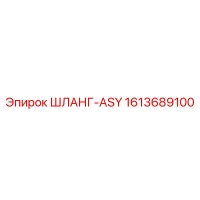 1613689100 ШЛАНГ-ASY Epiroc