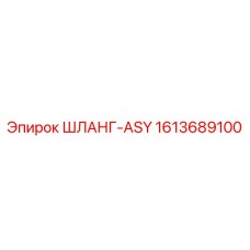 1613689100 ШЛАНГ-ASY Epiroc