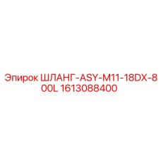 1613088400 ШЛАНГ-ASY-M11-18DX-800L Epiroc