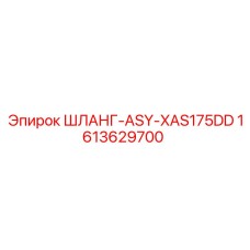 1613629700 ШЛАНГ-ASY-XAS175DD Epiroc