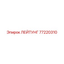 77220310 ЛЕЙТУНГ Epiroc
