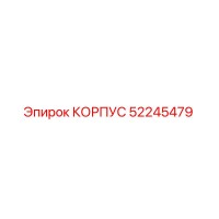 52245479 КОРПУС Epiroc
