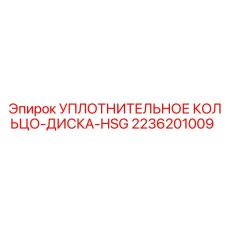 Уплотнение для дисков HSG 2236201009 в разрезе