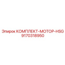9170318950 КОМПЛЕКТ-МОТОР-HSG Epiroc