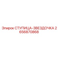2656870868 СТУПИЦА-ЗВЕЗДОЧКА Epiroc