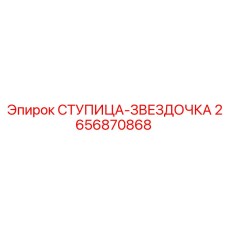 2656870868 СТУПИЦА-ЗВЕЗДОЧКА Epiroc